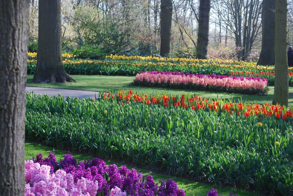 Vakantiepark Delftse Hout ภายนอก รูปภาพ