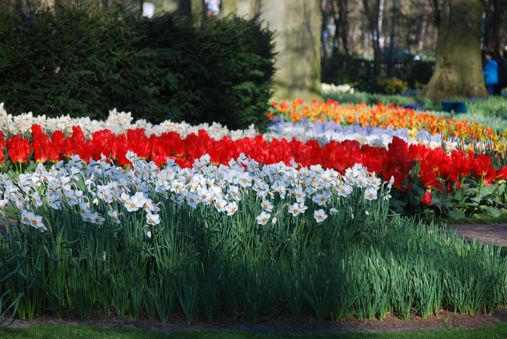 Vakantiepark Delftse Hout ภายนอก รูปภาพ